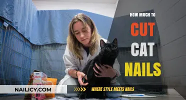 Trimming Your Cat's Nails: How Much to Cut?