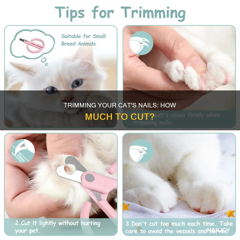 how much to cut cat nails
