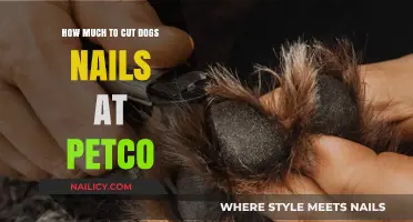 Petco Nail Trimming: Cost and Benefits for Your Dog