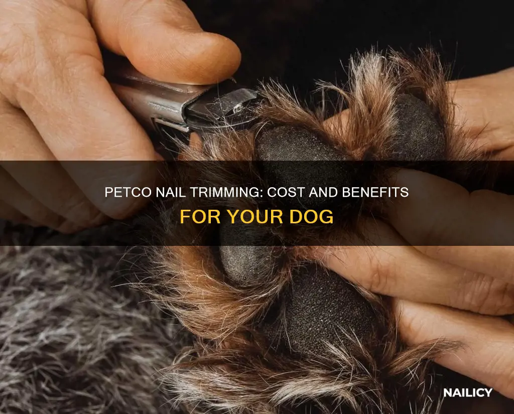how much to cut dogs nails at petco