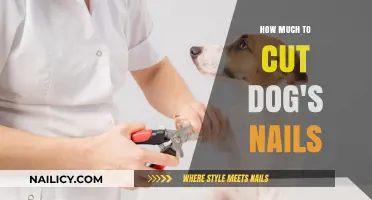 Trimming Dog Nails: Cost and Frequency