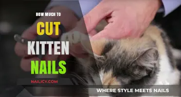 Trimming Kitten Nails: How Short is Too Short?
