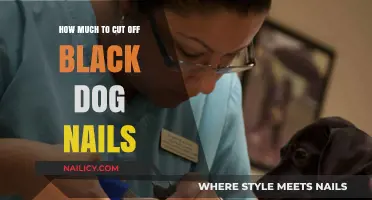 Trimming Black Dog Nails: How Short is Too Short?