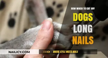 Trimming Dog Nails: How Short is Too Short?
