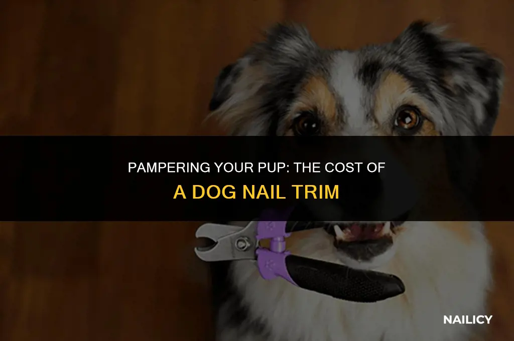 how much to get a dog nail trim