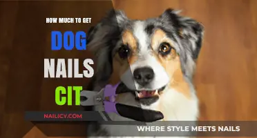 Understanding the Cost of Dog Nail Trimming: A Complete Guide