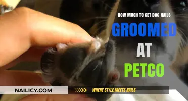 Petco Dog Nail Grooming: Cost and Care Guide
