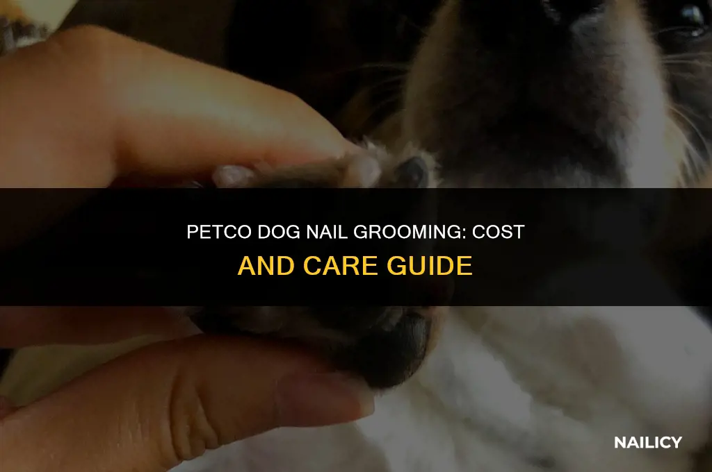 how much to get dog nails groomed at petco