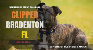 Affordable Dog Nail Clipping Services in Bradenton, FL