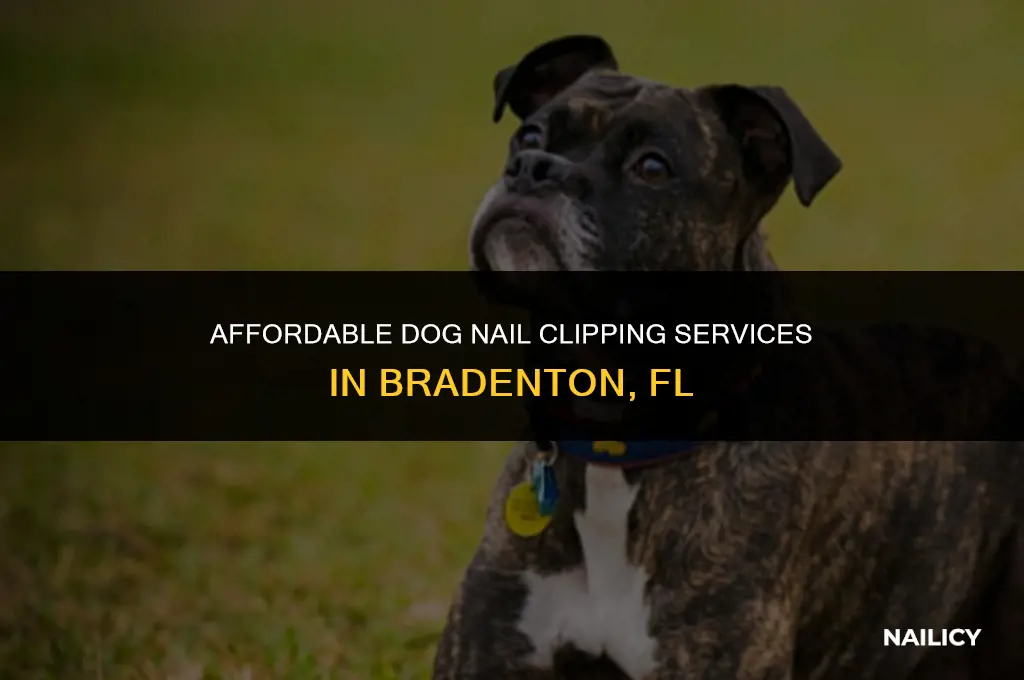 how much to get my dogs nails clipped bradenton fl