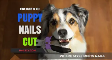 Puppy Nail Care: Cost Guide for First-Time Dog Owners