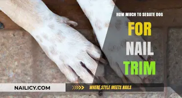 Sedating Dogs for Nail Trims: How Much is Too Much?