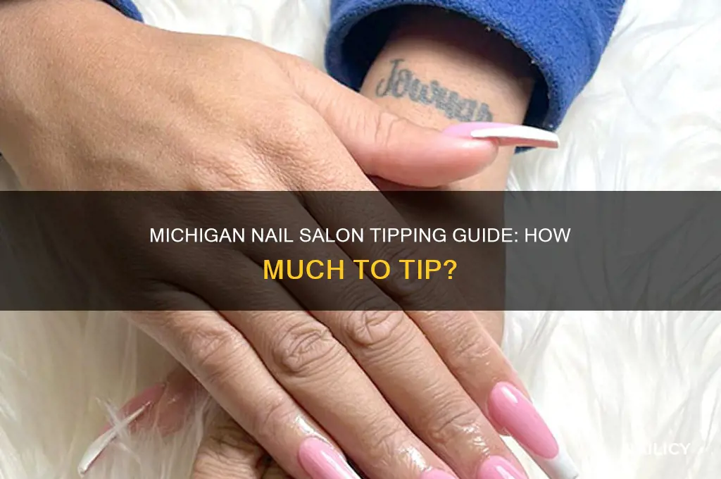 how much to tip at nail salon michigan