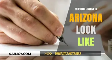 Arizona Nail License: Appearance, Requirements, and Application Process Explained