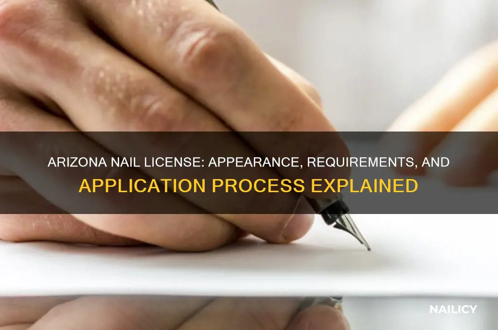 how nail license in arizona look like