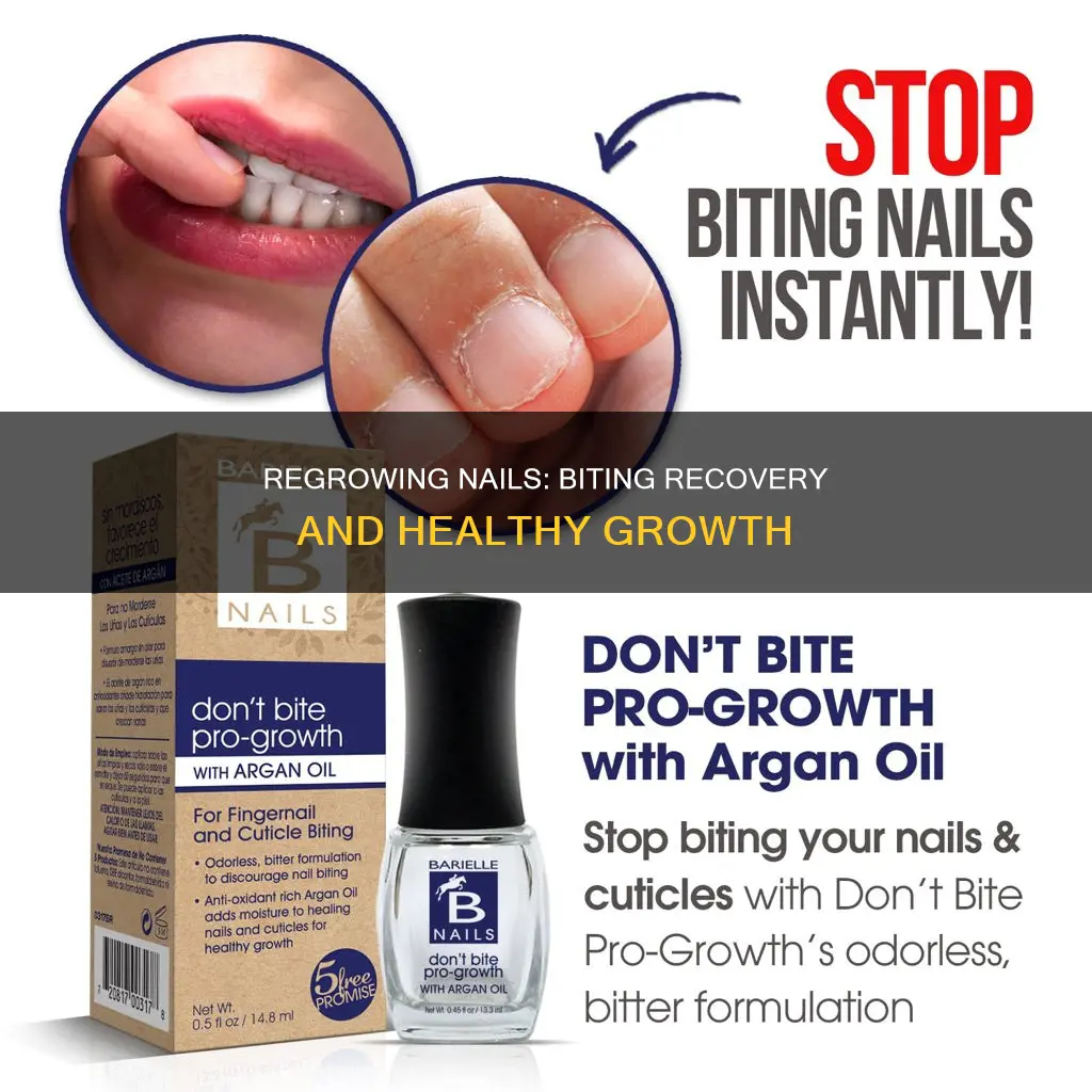 how nails grow after biting