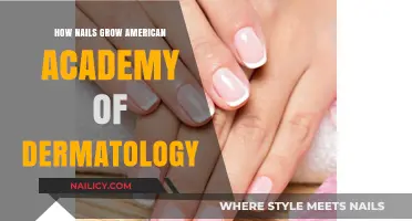 Nail Growth: Dermatology Explains How Nails Grow