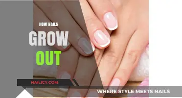 The Intriguing Process of Nail Growth