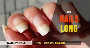 The Perfect Nail Length: How Long is Too Long?