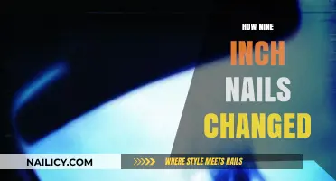 Nine Inch Nails' Evolution: A Journey Through Sound and Identity