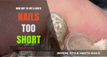 Avoid Over-Clipping: Tips for Trimming Dog Nails