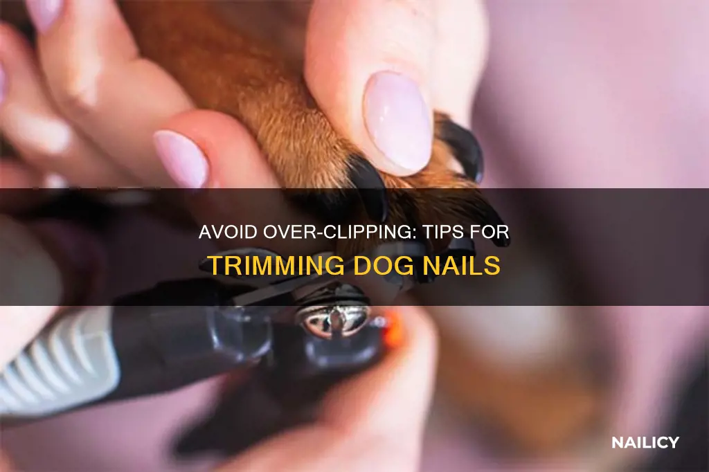 how not to cut a dog