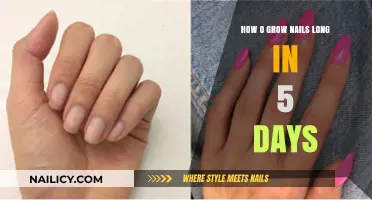 Rapid Nail Growth: Long Nails in 5 Days