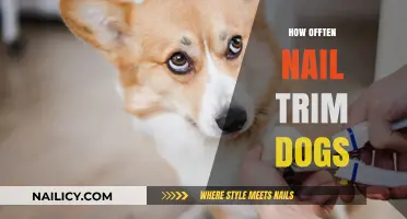 Trimming Dog Nails: How Often?