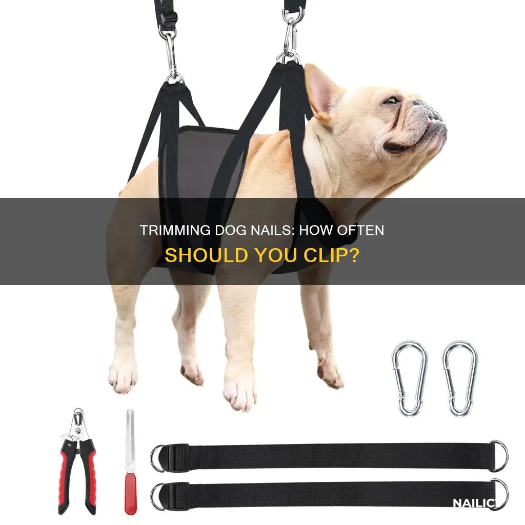 how ofteern shold i cut my dogs nailes