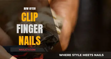 Clipping Nails: How Often Should You Trim?