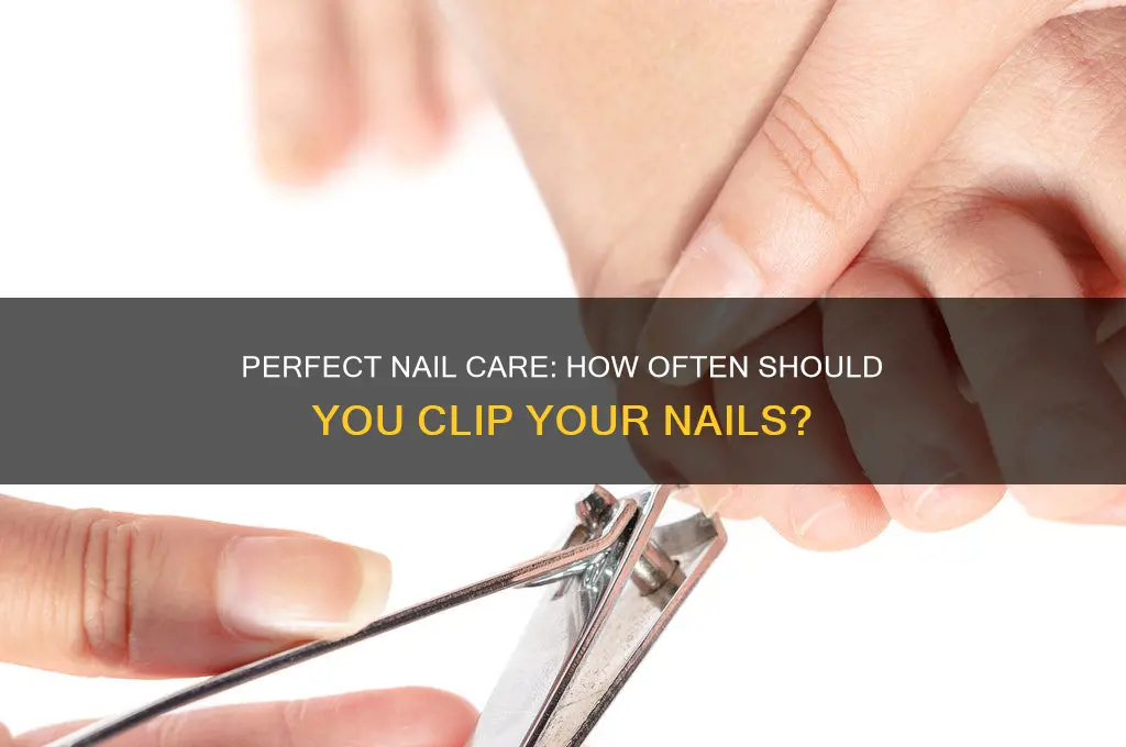 how often clip nails