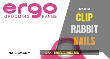 How Often to Clip Rabbit Nails: A Complete Care Guide