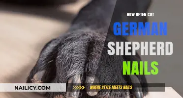 German Shepherd Nail Care: How Often to Trim?