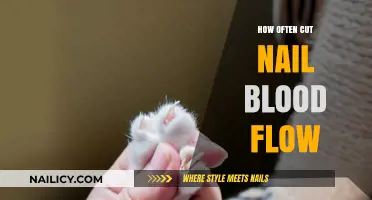 Nail Cutting: How Often to Avoid Blood Flow Issues