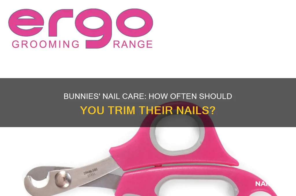 how often do bunnies need their nails clipped