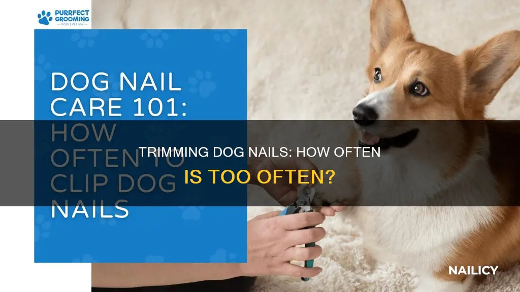 how often do dogn nails need to be trimmed