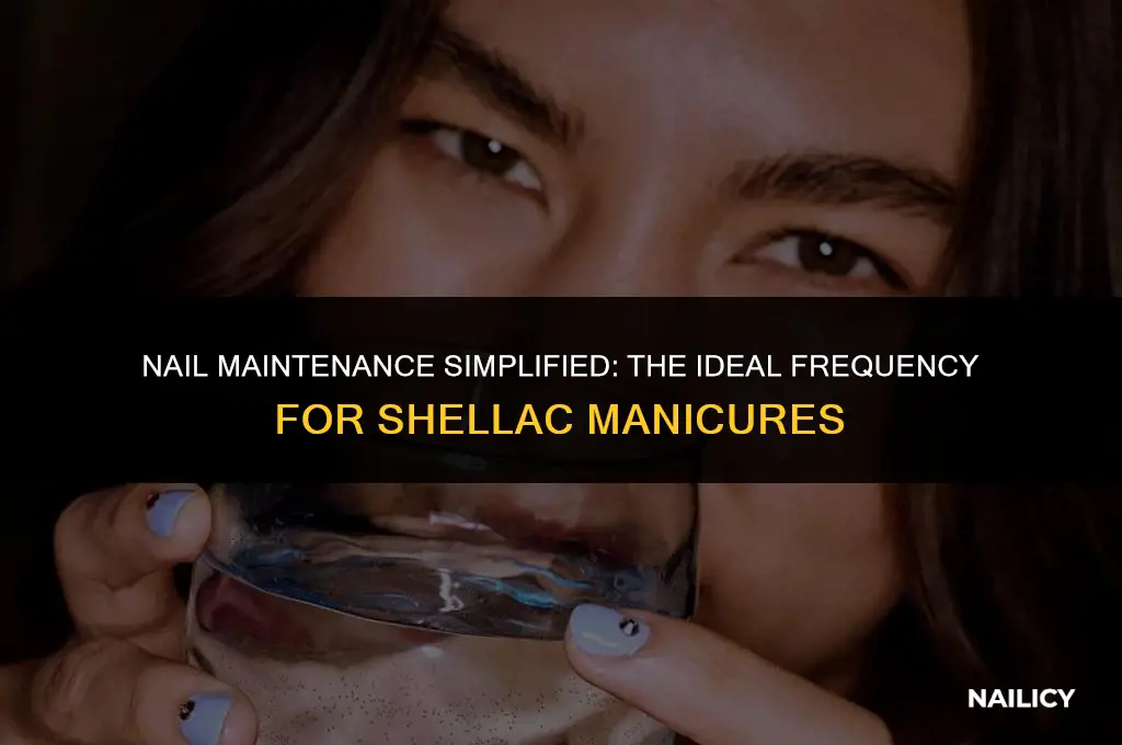 how often do i get my shellac nails done