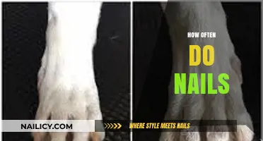 How Often Do Nails Need Trimming and Maintenance for Optimal Health?