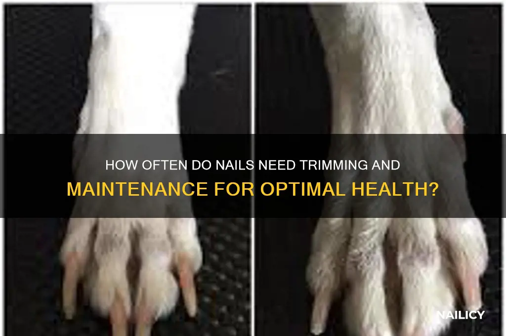 how often do nails