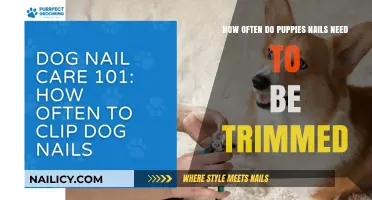 Trimming Puppy Nails: How Often is Safe?