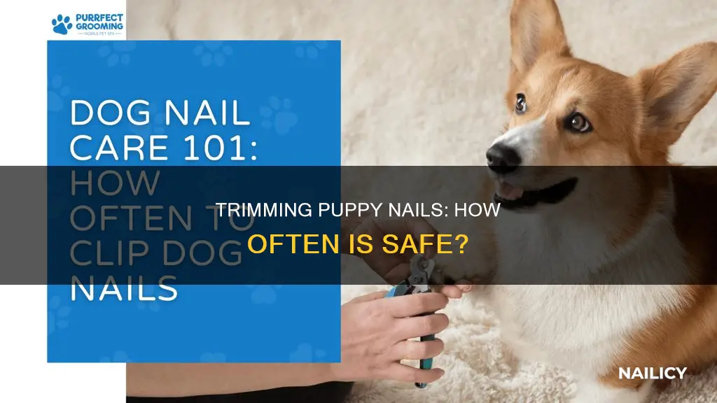 how often do puppies nails need to be trimmed
