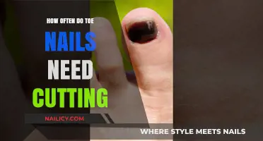 Toe Nails: How Frequently Should You Trim Them?