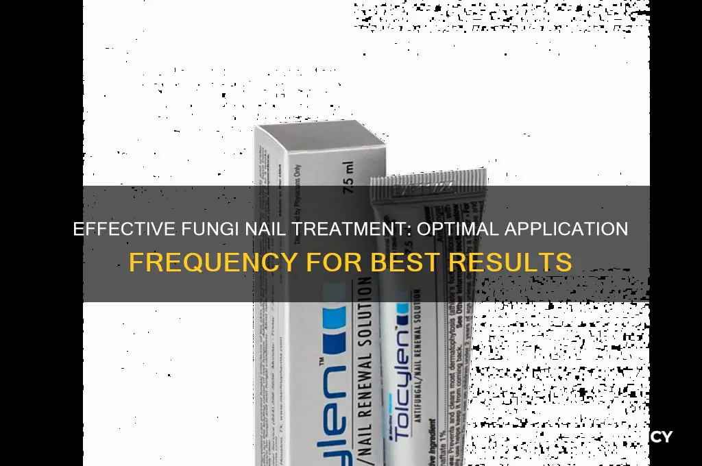 how often do you apply fungi nail