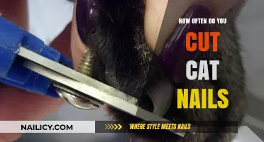 Trimming Your Cat's Nails: How Often is Safe?