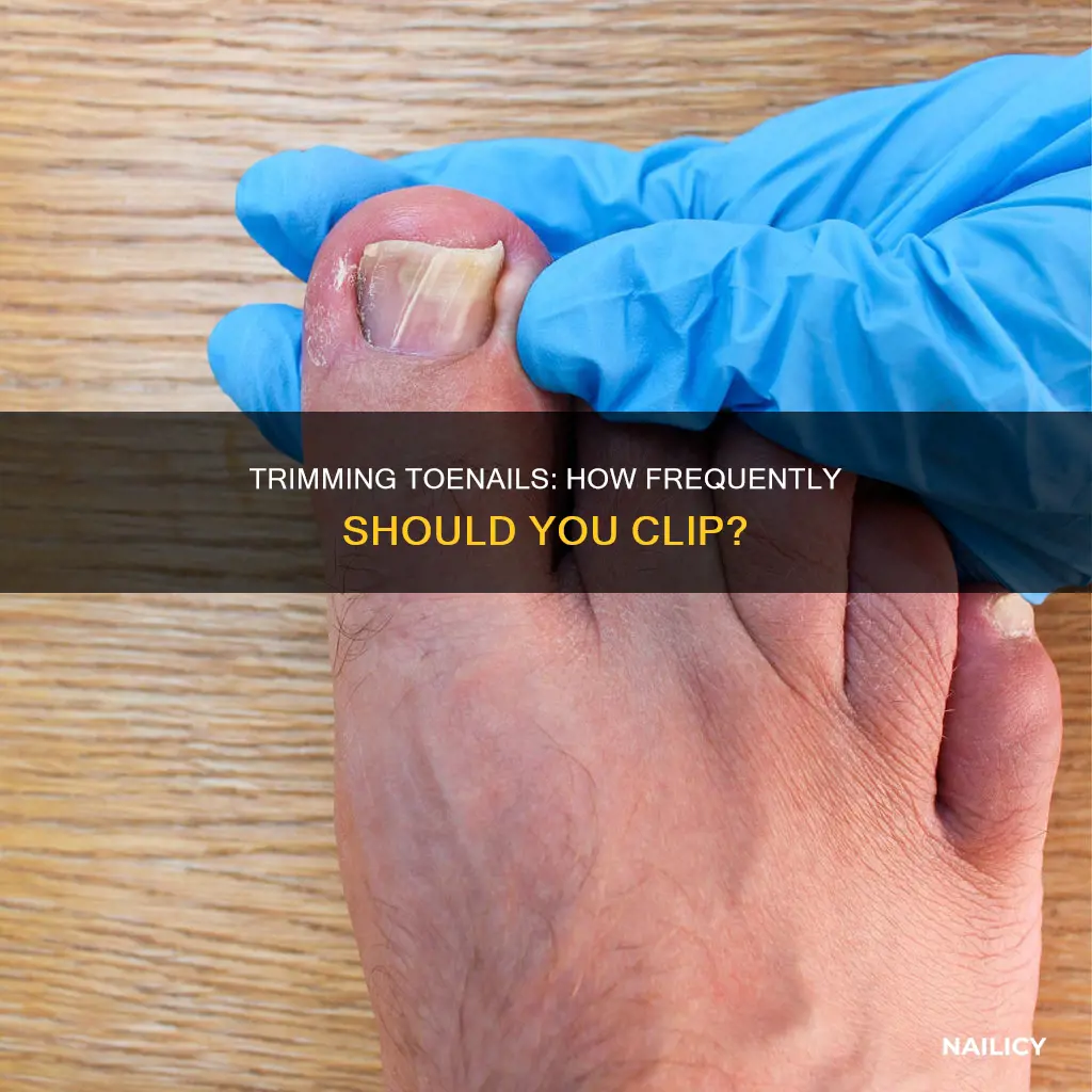 how often do you cut your feet nails