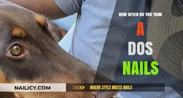Trimming Your Dog's Nails: How Often is Safe?