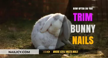 Trimming Bunny Nails: How Often Should You Clip?