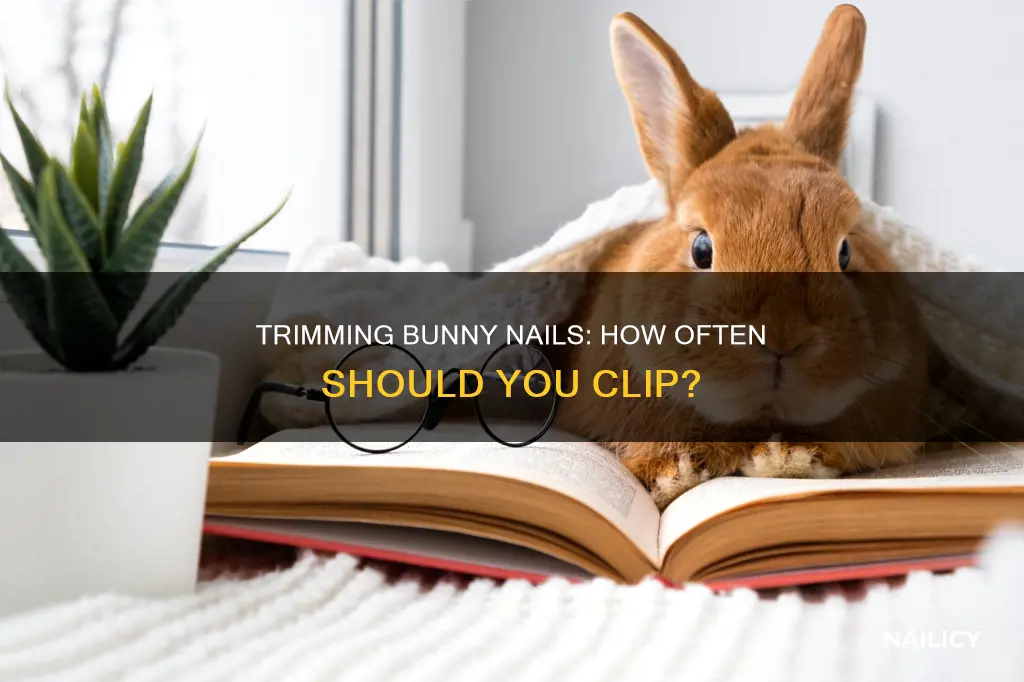 how often do you trim bunny nails
