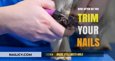 Nail Trimming: How Frequently Should You Clip Your Nails?