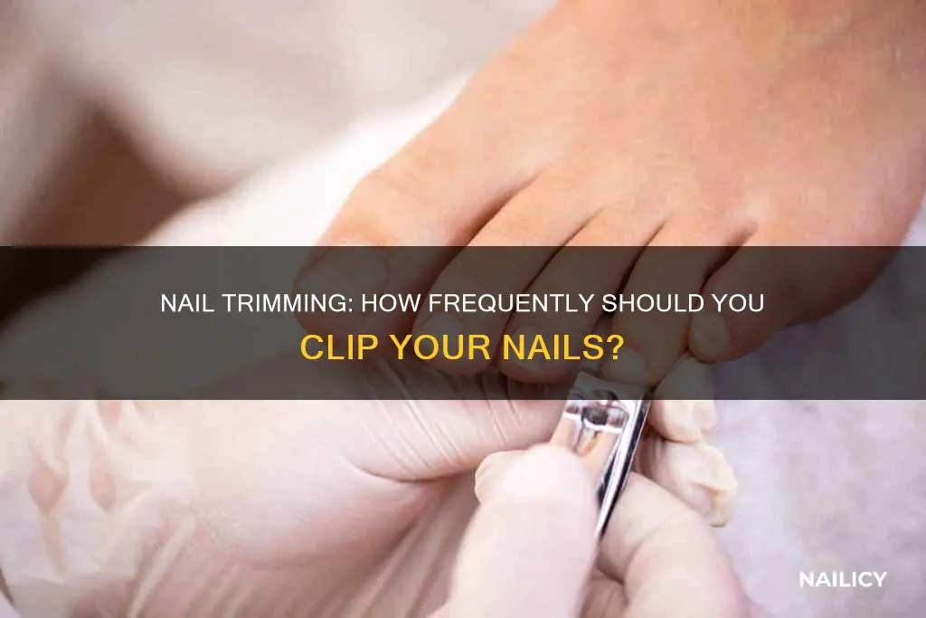 how often do you trim your nails
